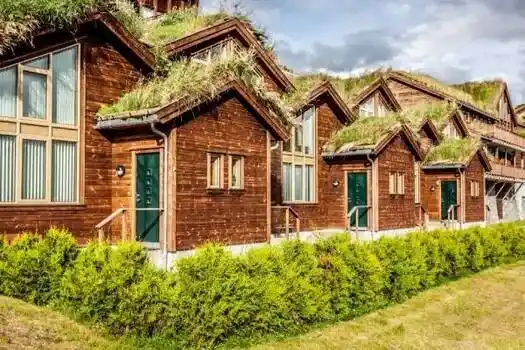 Svømmebassiner Design konstruktion - Grønne tage