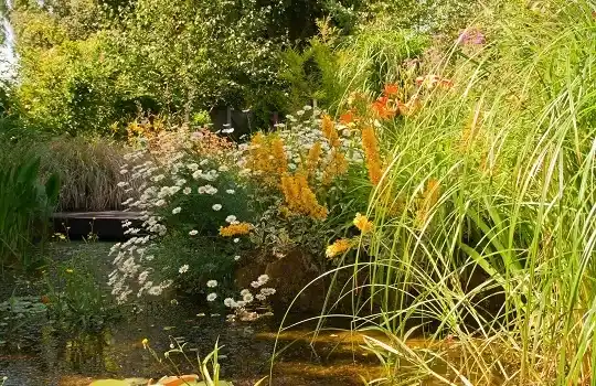 badebassiner design konstruktion - Naturhaver