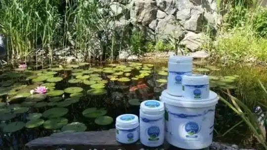 Badebassiner Design Konstruktion - Forberedelser til damme